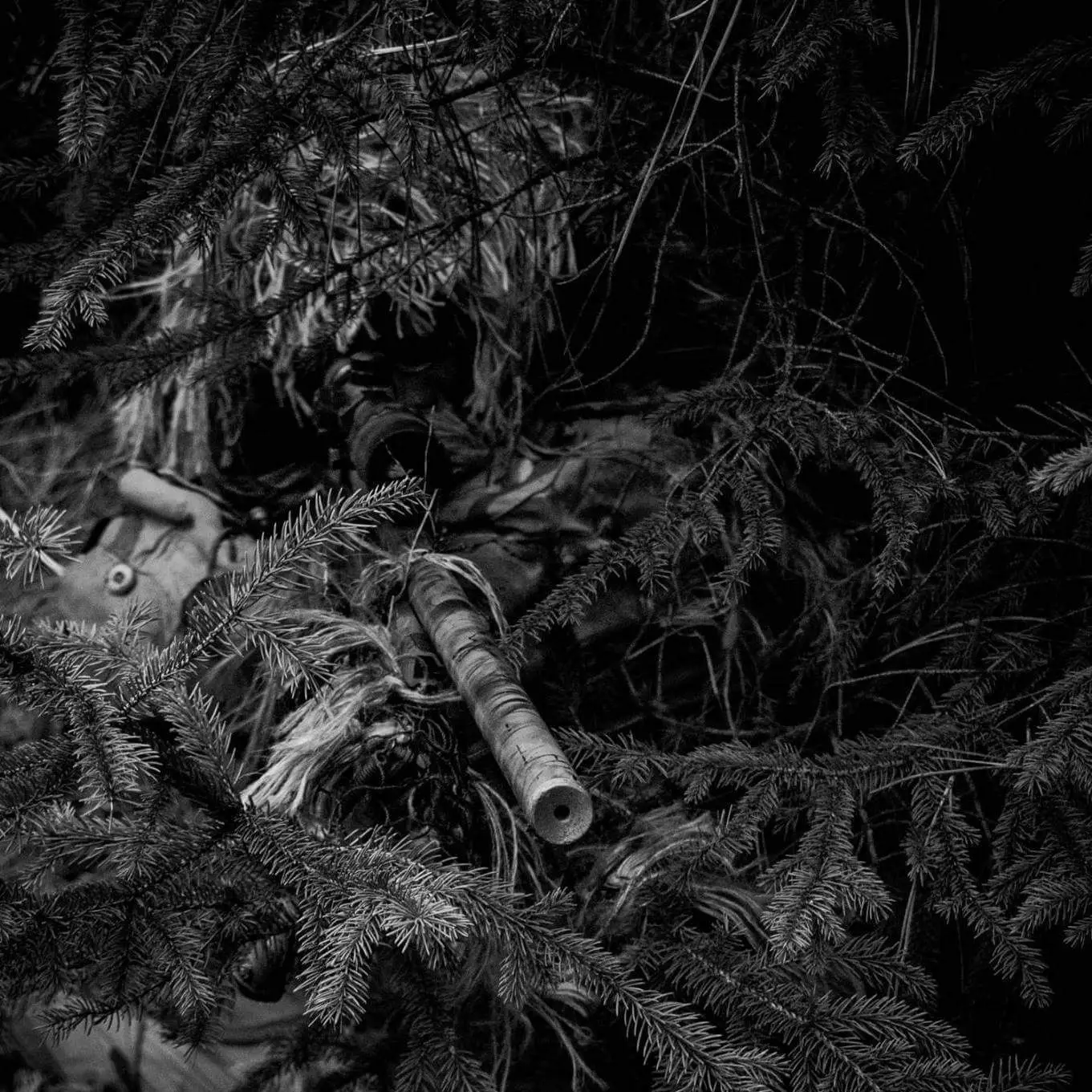 Eric, BoomHeadShot photographer in Pullman, WA — photo 5